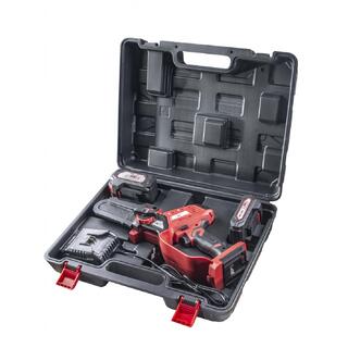 Αλυσοπρίονο μπαταρίας κλαδευτικό R20 set Brushless με 2 μπαταρίες 2ΑΗ ΚΑΙ 4ΑΗ RDP-SBGP20 075719