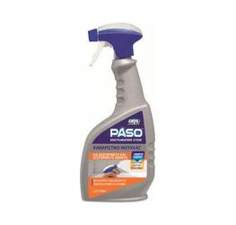 Paso